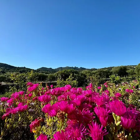 Casetta Vittoria * Palau